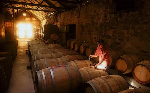 Wendouree Birks Brady Clare Australia cave a Dominique Fornage Wine Vin ecole nobilis