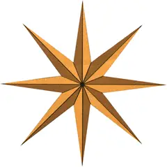 Sassicaia etoile San Guido Dominique Fornage Wine Vin