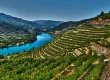 Vignoble Vallee Douro a Dominique Fornage Wine Vin ecole nobilis