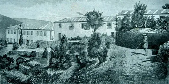 Porto Quinta Noval domaine A Dominique Fornage Wine Vin ecole nobilis