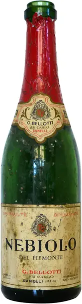 Nebiolo Nebbiolo Spumante Bellotti Dominique Fornage Wine Vin ecole nobilis